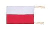 旗SH-1