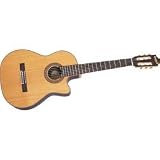 Musical Instruments : Epiphone Masterbilt EN-546CE Acoustic-Electric Guitar (Natural Satin Gold*)