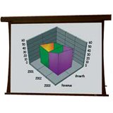 Draper 101306 M2500: Premier Electric Screen - HDTV 119 diagonal