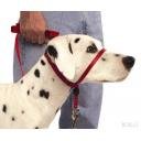 Gentle Leader Headcollar 5/8 Nose Loop, Blue, Large for Dogs 60-130 lbs.