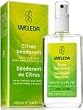 Deodorant-Citrus Spray - 3.4 oz - Spray