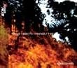 Steve Tibbetts: Friendly Fire