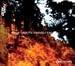 Software : Steve Tibbetts: Friendly Fire