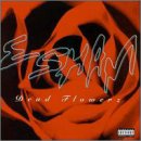 Esham - Tony Montana Lyrics - Zortam Music