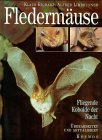 Flederm&auml;use - Klaus Richarz, Alfred Limbrunner