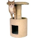 California Kitty Condo - 15 in.
