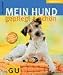 Image of Hund gepflegt &amp; schön, Mein (Tierisch gut)