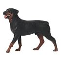 Breyer Rottweiler