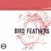  : Bird Feathers