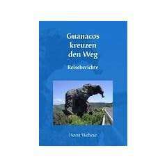 Guanacos kreuzen den Weg: Reiseberichte