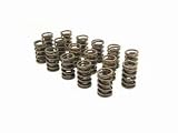 Competition Cams 995-16 1.437 DIA. DUAL VALVE
