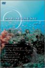 MARINEMUSIC VOL.3「マイ・ハート・ウィル・ゴーン」 [DVD]