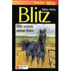 Blitz, Pocket Hits, Bd.3, Blitz schickt seinen Sohn