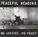 No Justice-No Justice No Peace