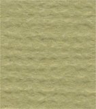 Crdsk 12''X12'' Bazzill 50/PK-Witch Hazel