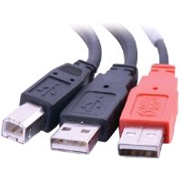 Cables to Go 28108 USB 2.0 B Male to 2 USB A Male Y-Cable (Black)