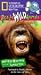 Nat'l Geo: Rwa Monkey Business & Family