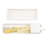 Diversion Safe-Surge Protector