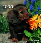 Hunde 2005. Postkartenkalender