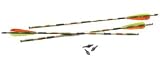 Ten Point Aluminum XX75 Crossbow Arrows (Color May Vary)