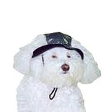 Cap Neoprene - Black - Size 2