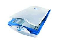 Childrens Toyshop  Electronics : Mustek Be@rPaw 1200CS - Flatbed scanner - 216 x 297 mm - 600 dpi x 1200 dpi - USB