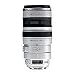 Canon EF 100-400mm L IS USM Objektiv (77 mm Filtergewinde)
