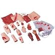 Simulaids Trauma Moulage Kit for Full Body CPR Manikin - 6701