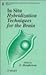 Books : In Situ Hybridization Techniques for the Brain (Ibro Handbook Series - Methods in the Neurosciences, Vol 17)