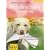 Hundeschule f�r jeden Tag: Erziehung, die dem Hund Spa� macht. So lernt, spielt und versteht mein Hund. Hundetraining artgerecht. Verhaltensprobleme l�sen