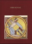 Die Miniaturen im "Liber Scivias" der Hildegard von Bingen: Die Wucht der Vision und die Ordnung der Bilder