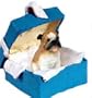 Bulldog Blue Gift Box Dog Ornament