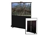 Mitsubishi - Mitsubishi Traveller NTSC - Projection screen - 60 in