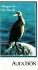 Danger at the Beach [VHS]