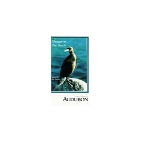 Danger at the Beach [VHS]