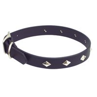 Circle T Diamond Stud Leather Collar- 1" width
