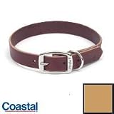 Coastal 12 inch Tan 3/8 Town Collar