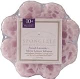 Spongeables Spongelle Bodywash Infused Sponge (Lavender Daisy) 10+ Uses French Lavender-Meyer Lemon Infusion