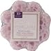 Spongeables Spongelle Bodywash Infused Sponge (Lavender Daisy) French Lavender-Meyer Lemon Infusion