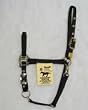Hamilton Deluxe 3/4" Arabian Nylon Horse Halter with Adjustable Chin and Snap, Black, Small/Cob (500-1100 lbs)