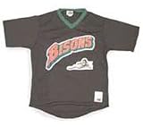 Minor League Baseball Buffalo Bisons V Neck Adult Jersey
