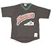 Minor League Baseball Buffalo Bisons V Neck Adult Jersey
