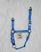 Hamilton Quality 1" Nylon Horse Halter with Adjustable Chin and Snap, Blue, Average (800-1100 lbs)