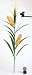 Feeder Window Mixed Seed .5#