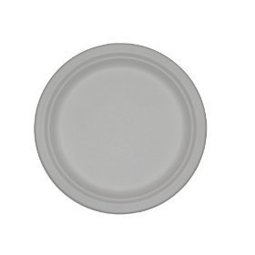 Hefty Foam Plate, 8 7/8