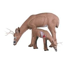 Rinehart Broadhead Buck 3-D Archery Target