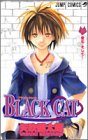 Black Cat Vol. 10  (in Japanese)