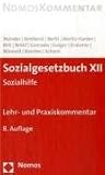 Sozialgesetzbuch XII - SGB: Sozialhilfe. Lehr- und Praxiskommentar