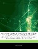 Articles on Rhythm Zone Artists, Including: M-Flo, Sowelu, Kumi Koda, Tvxq, Exile (Japanese Band), Maki Nomiya, Mai (Singer), Dorlis, the Grace (Band)