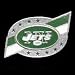 Search : New York Jets Team Logo Pin (Set of 2)